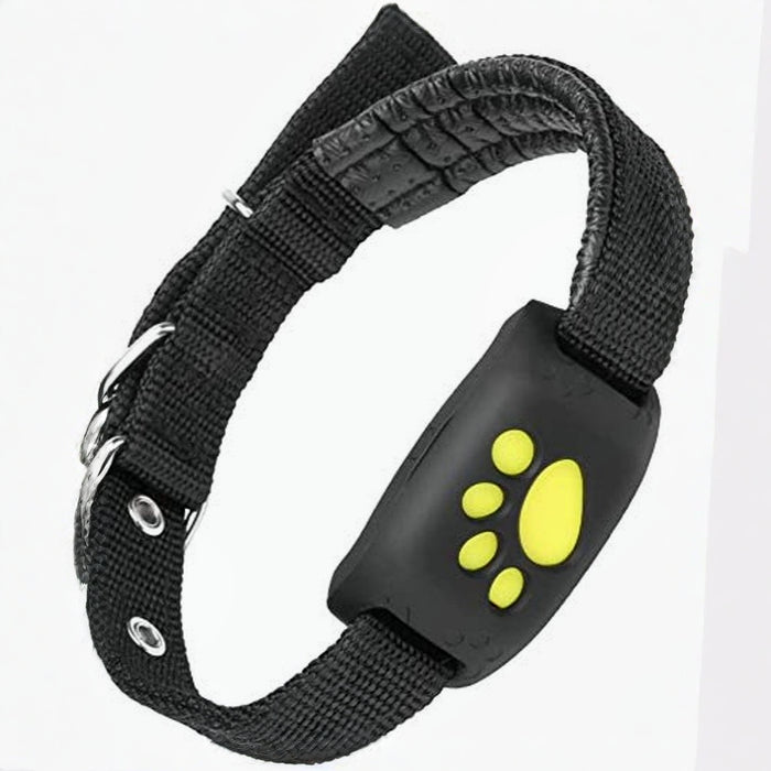 Smart GPS pet locator collar for cats and dogs, featuring geo-fence alerts and real-time tracking for ultimate pet safety.