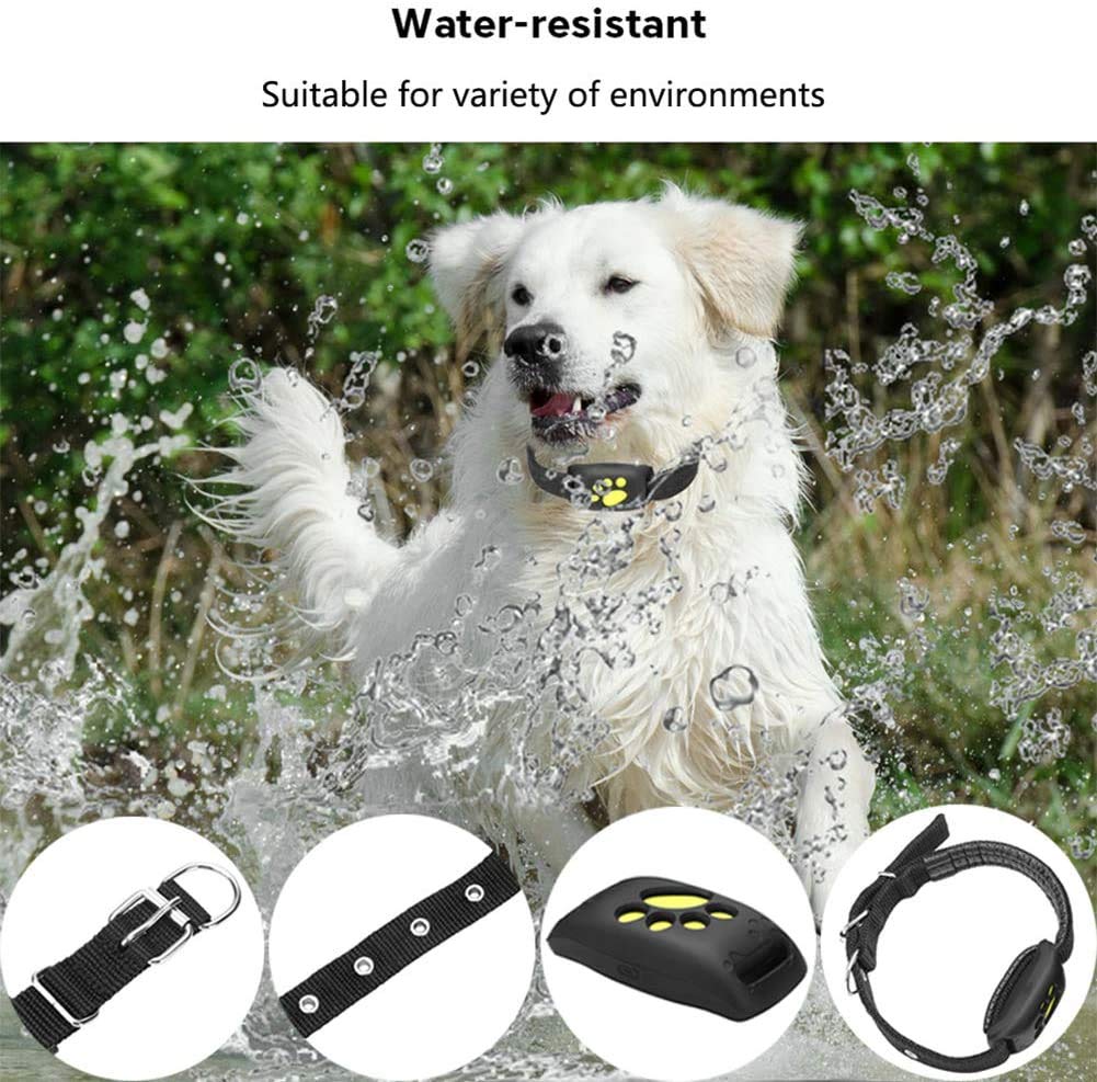Durable waterproof GPS pet tracker collar, ideal for active dogs and cats, providing reliable real-time location.