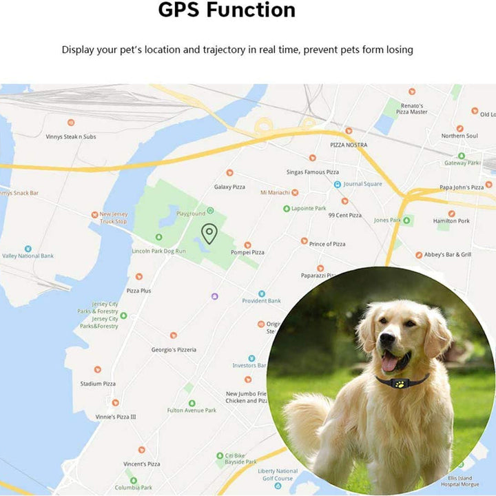 GPS pet tracker collar, USB charging cable, and user manual displayed; complete kit for real-time pet location.