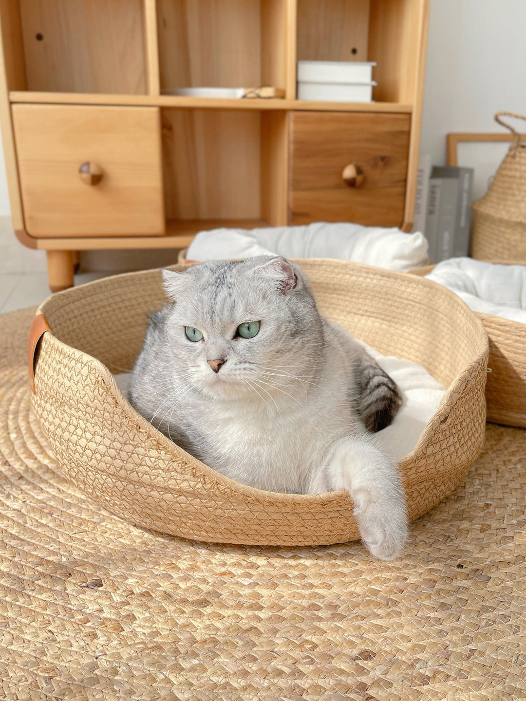 Stylish luxury cat bed by LuxeSnooze, premium handmade pet furniture for modern homes.