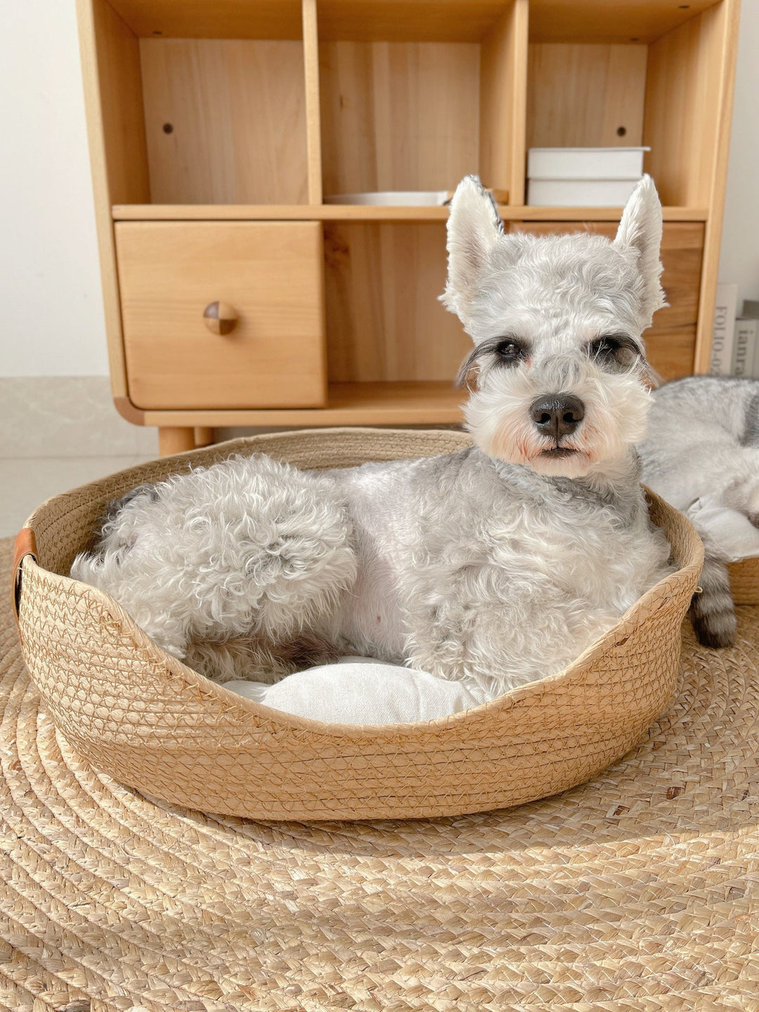 Artisanal handmade cat bed, a unique and comfortable pet accessory for ultimate feline relaxation.