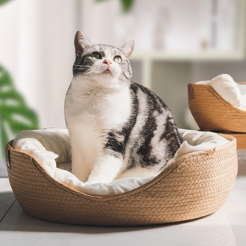 Front view of a luxurious handmade cat bed, providing ultimate comfort for your feline friend.