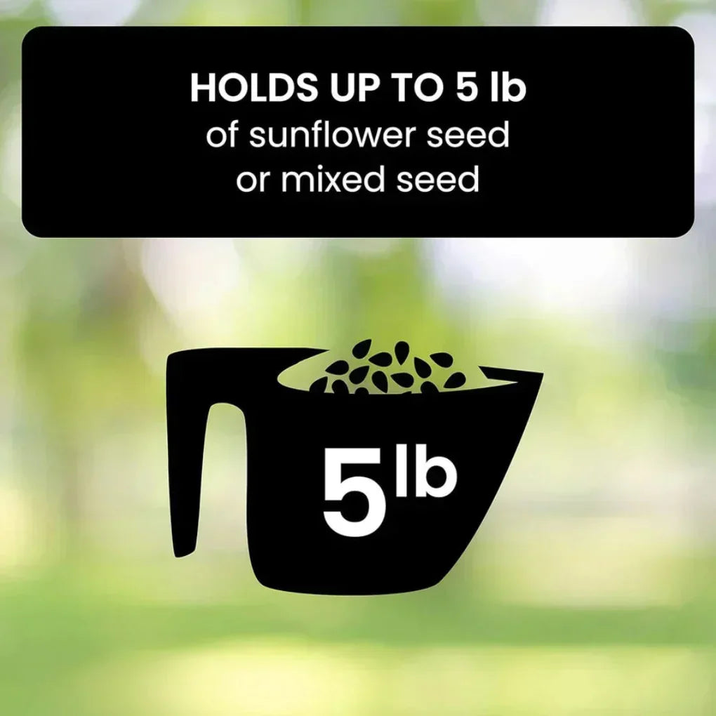 Plastic squirrel-proof bird feeder to attract wild birds to outdoor gardens. Great for backyard bird watching.