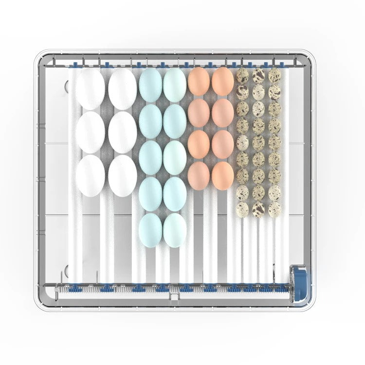 Close-up of HatchEase automatic egg incubator control panel, showing digital display for temperature and humidity