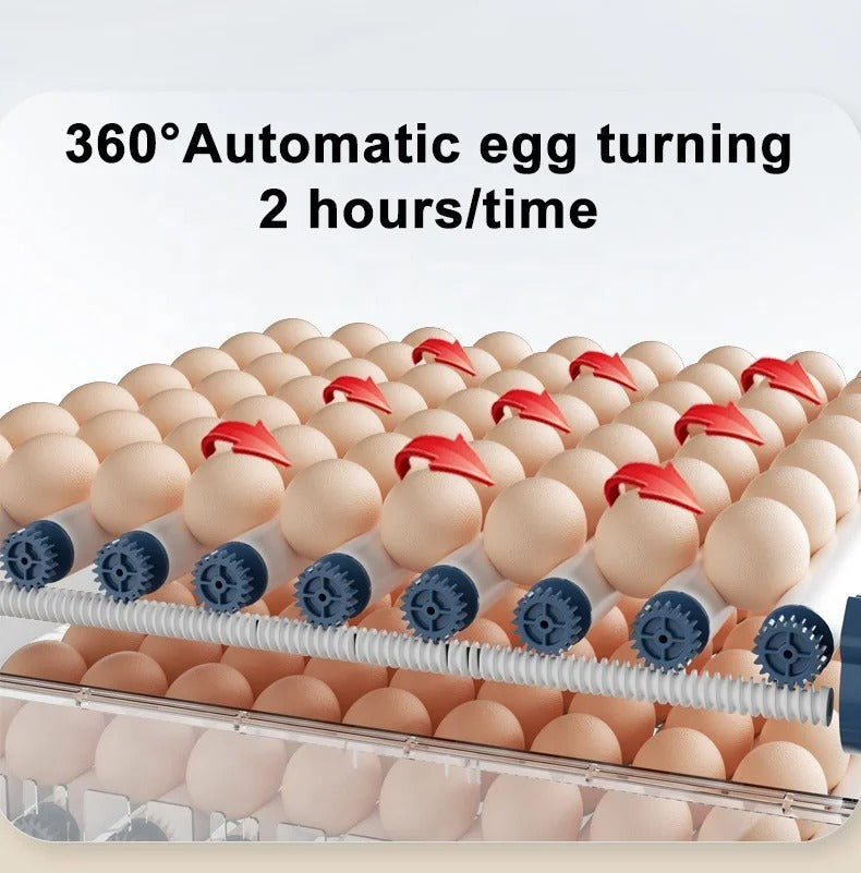 HatchEase egg incubator with eggs inside, demonstrating automatic turning mechanism for efficient chick hatching