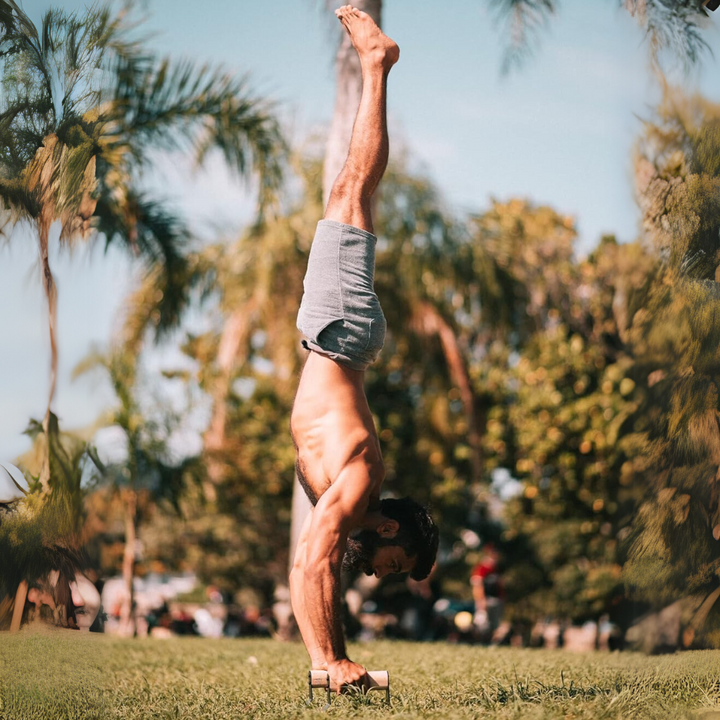 Unisex heavy wooden push-up parallettes for stable bodyweight exercises. Ideal for strength and home gym fitness.