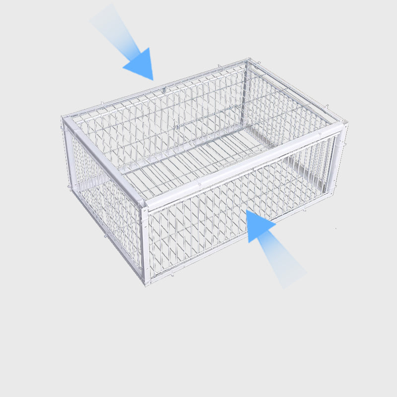 Control garden pests safely with this humane bird trap cage. Effective outdoor wildlife and animal management tool.