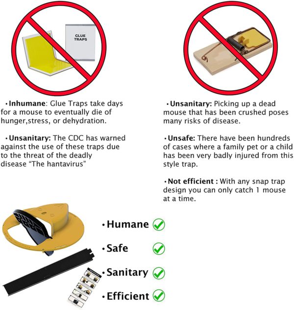Easy-to-use humane bucket lid mouse & rat trap, safe for capturing rodents without harm.