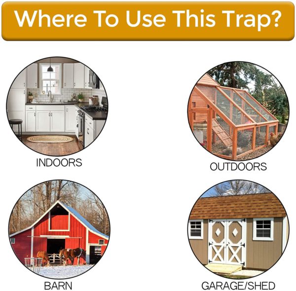 Premium bucket lid mouse & rat trap designed for safe, no-kill home pest control.