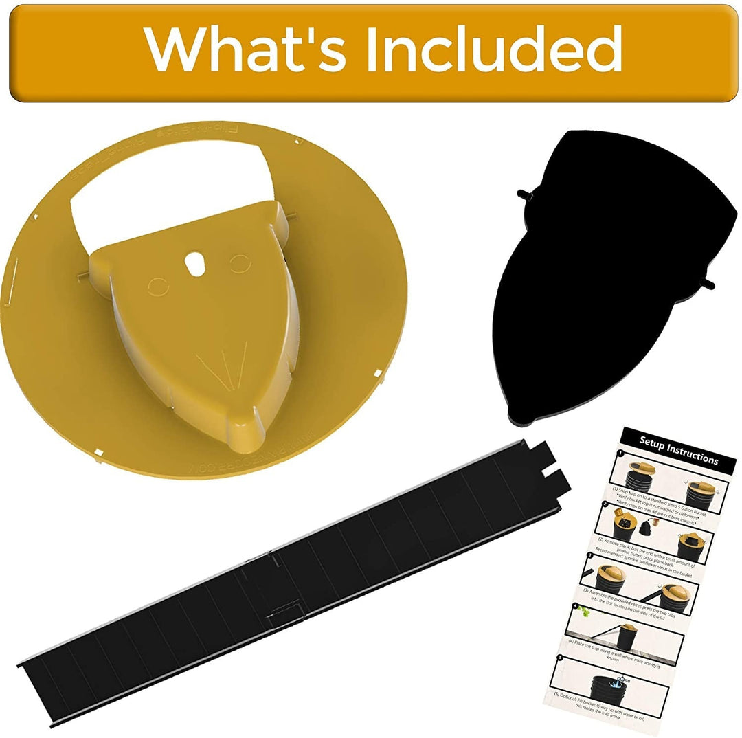 Safe, non-toxic humane bucket lid trap for effective mouse and rat removal in homes.