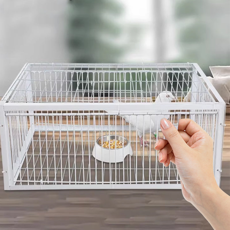 Humane outdoor bird trap for safe pest control in gardens & farms.