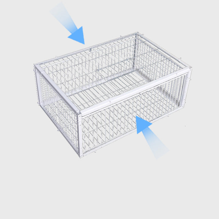 Metal humane bird trap for effective and safe outdoor pest control.