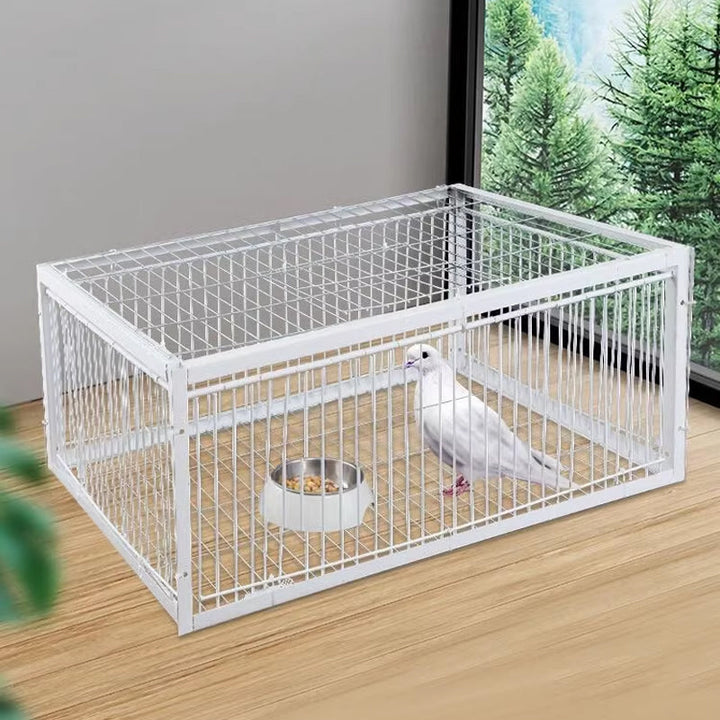 Durable metal humane bird catcher for effective wildlife control outdoors.