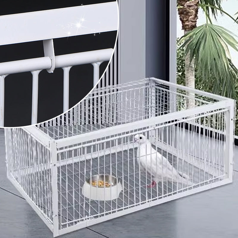 Safe, animal-friendly bird trap for garden pest control & wildlife management.