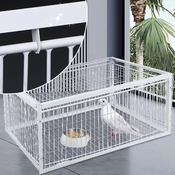 Safe, animal-friendly bird trap for garden pest control & wildlife management.