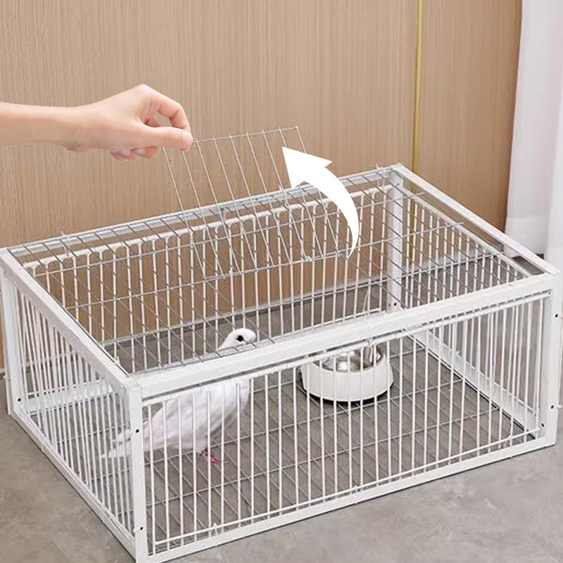 Effective outdoor bird pest control trap, humane and safe for wildlife.