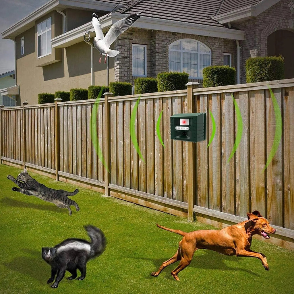 Yard protector: Humane ultrasonic bird repeller. Keeps woodpeckers away with solar power.