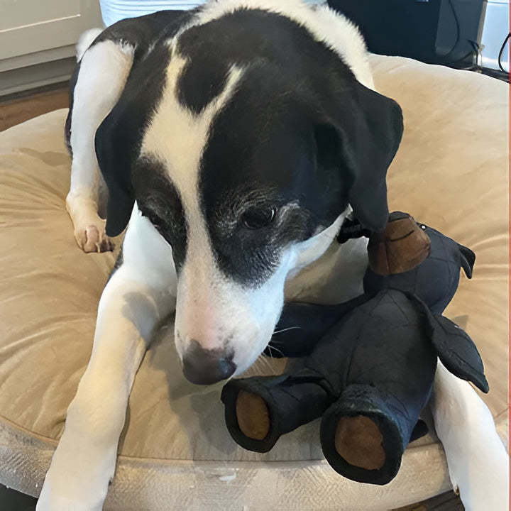 Durable bear dog toy for heavy chewers. An indestructible chew toy for lasting play & aggressive chewers.