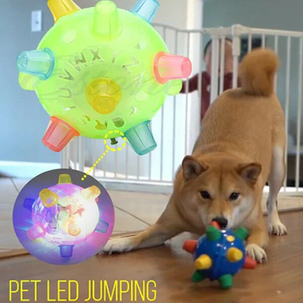Fun puppy interactive jumping ball toy, designed for stimulating play and healthy exercise for young dogs.
