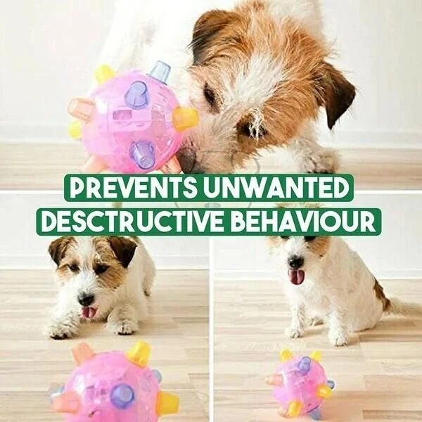 Tough, durable interactive bouncing ball dog toy. Provides endless fun & helps active dogs release energy.