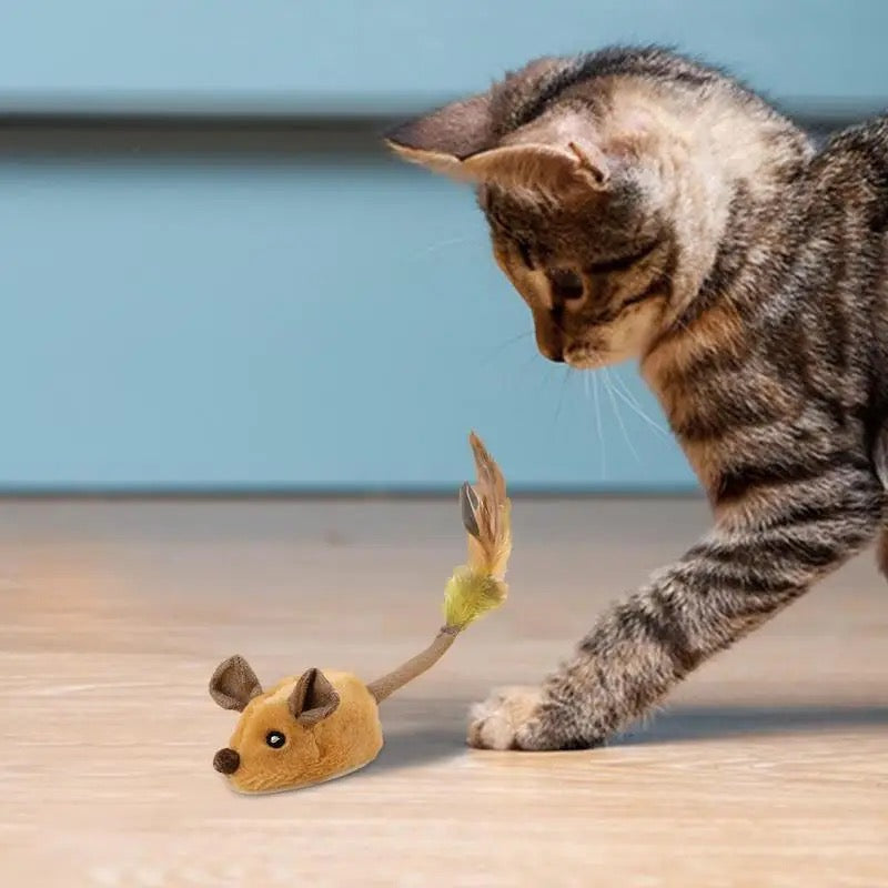 Interactive cat mouse toy, stimulating playful felines, promoting natural hunt instincts & enrichment.
