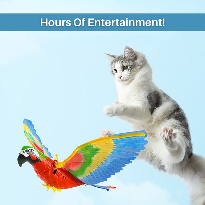 Feather bird interactive cat toy, perfect for mental stimulation and indoor fun.