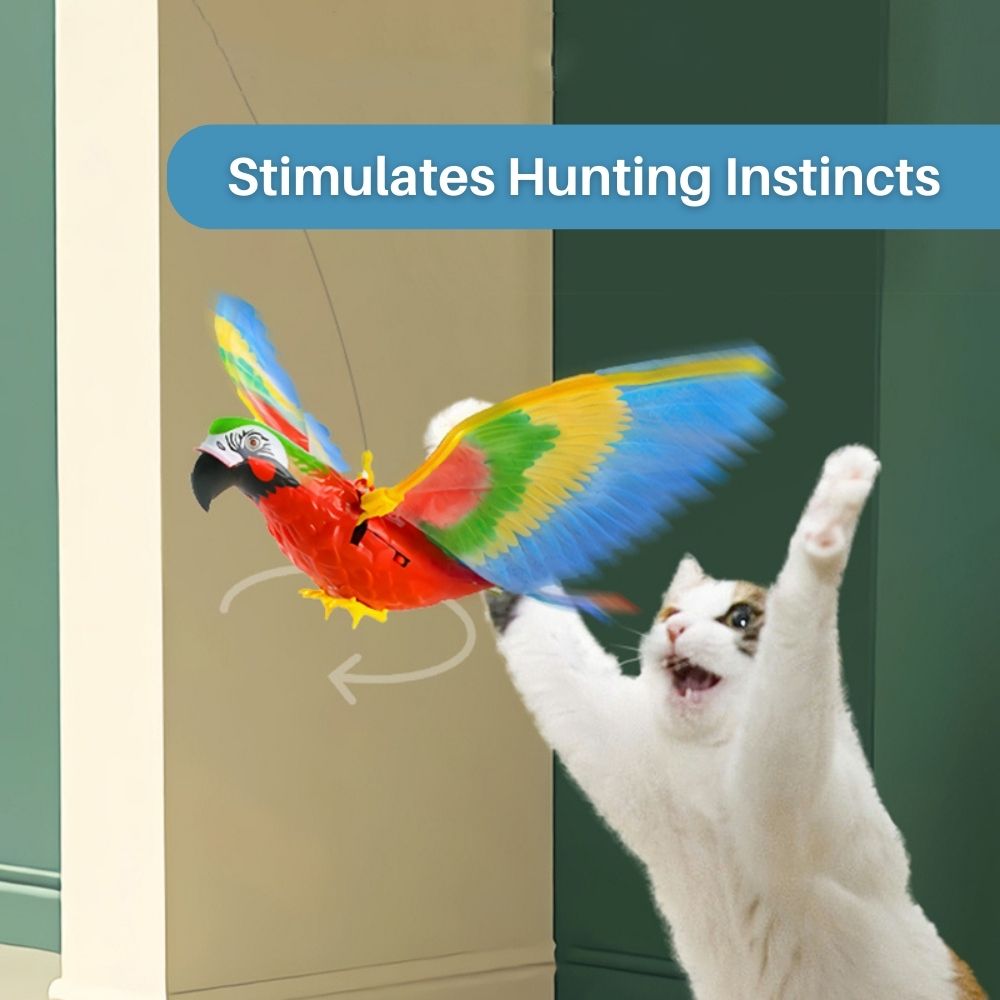 Active cat exercise toy with a realistic fluttering feathered bird for pet enrichment.