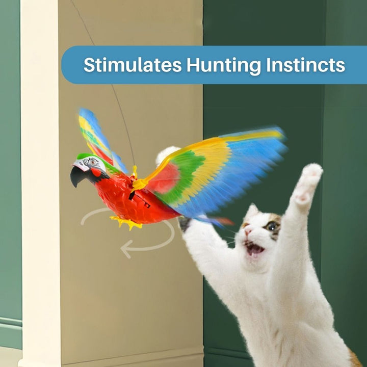 Active cat exercise toy with a realistic fluttering feathered bird for pet enrichment.