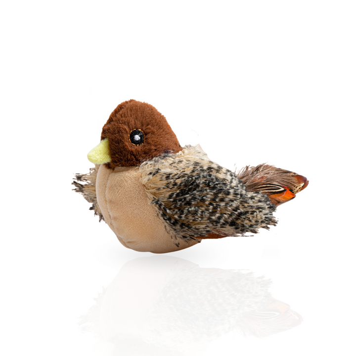 Interactive cat toy with realistic chirping sound & flapping motion for active indoor cats, USB rechargeable.