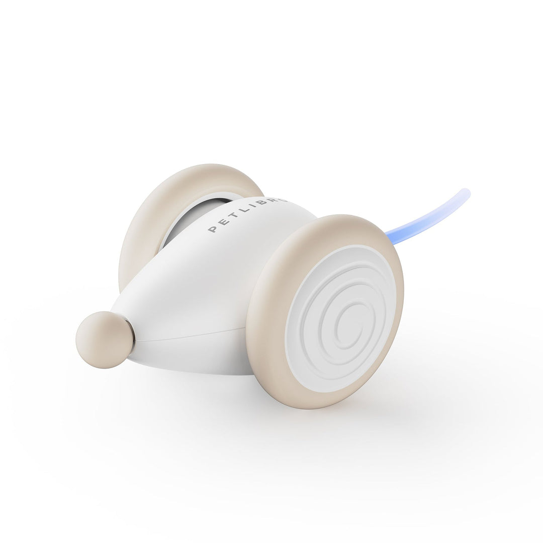 Durable, chew-resistant WhiskerPlay cat toy provides interactive entertainment for active feline fun.