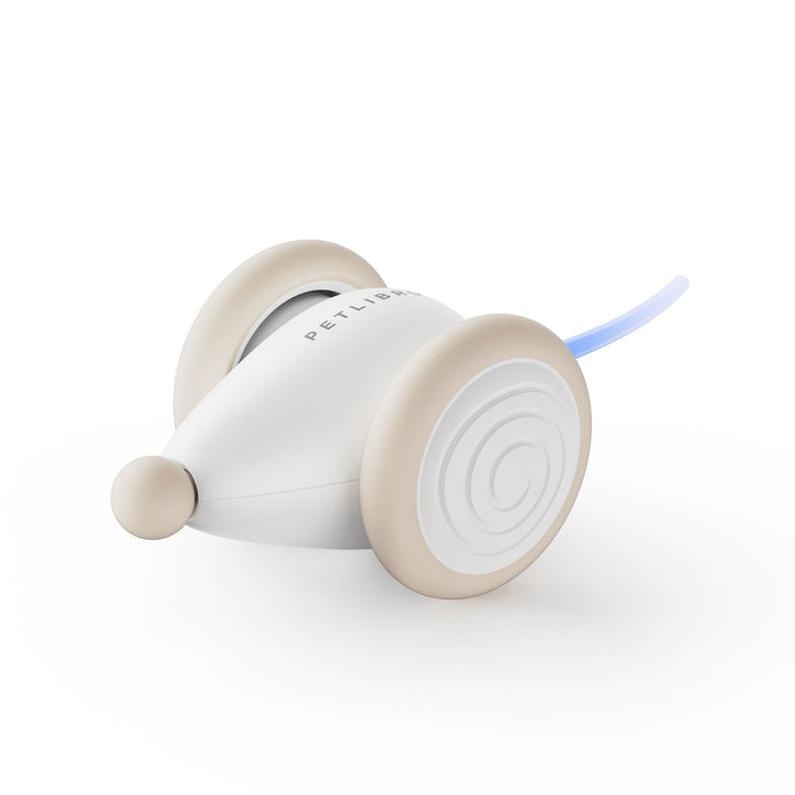 Durable, chew-resistant WhiskerPlay cat toy provides interactive entertainment for active feline fun.