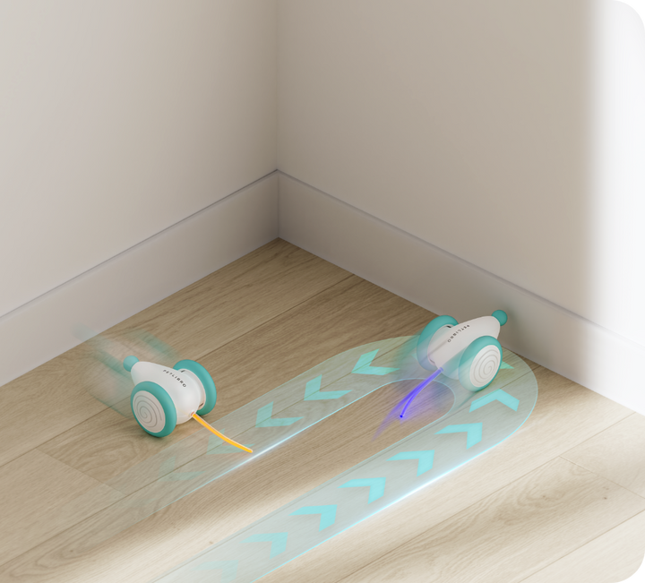 Automatic interactive cat toy, chew-resistant for lasting fun. Engages your cat in active, healthy play.
