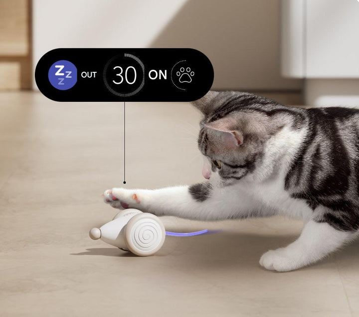Indoor interactive cat toy, chew-resistant for active feline entertainment. Keeps pets stimulated and happy.