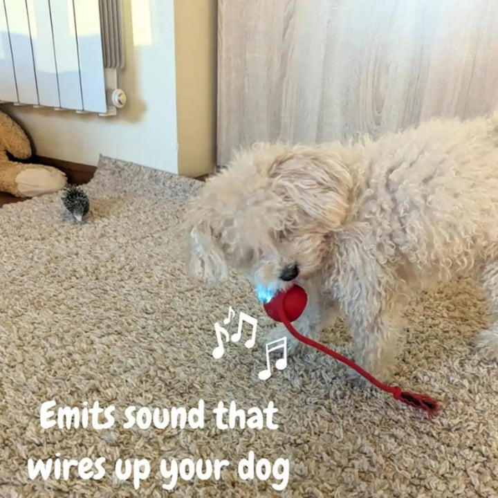 Smart rechargeable pet ball. Automatic interactive toy for dogs & cats, promoting active fun & enrichment.