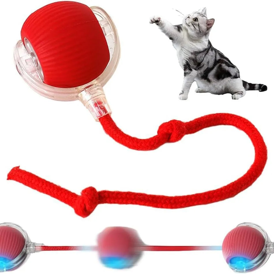 Automatic interactive pet ball toy. Rechargeable smart toy for dogs & cats, perfect for indoor active play.
