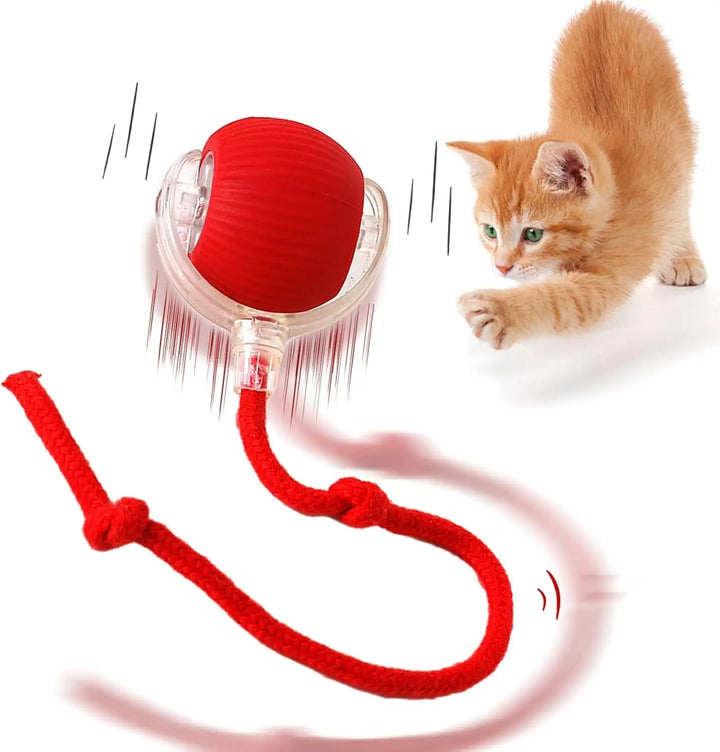 Durable interactive pet toy ball. Rechargeable smart ball for dogs & cats, providing endless automatic fun.