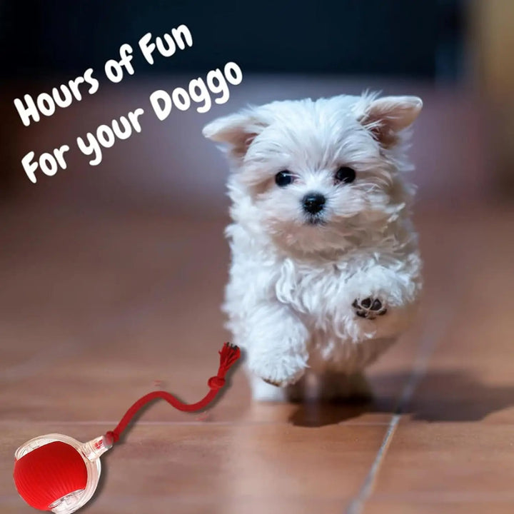 Rechargeable interactive dog & cat toy. Automatic smart pet ball for active indoor play and mental enrichment.