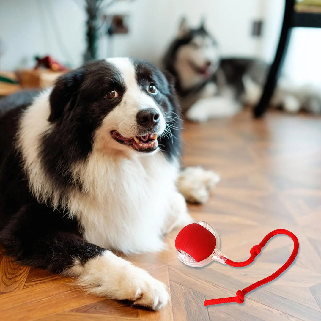 Active pet enrichment ball. Smart rechargeable interactive toy for dogs & cats, ensuring automatic fun indoors.