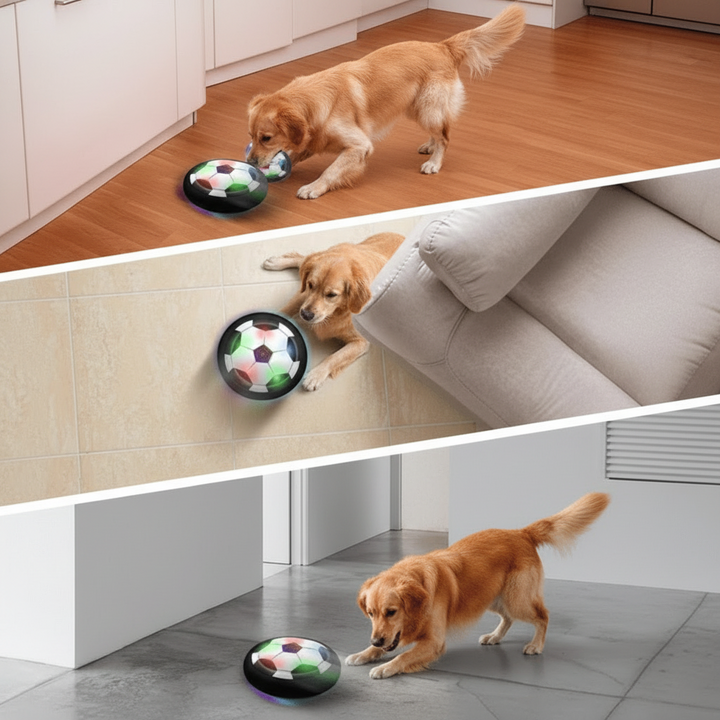 Dog enrichment play ball for mental & physical fun. Interactive, durable pet toy for active play, suitable for all breeds.