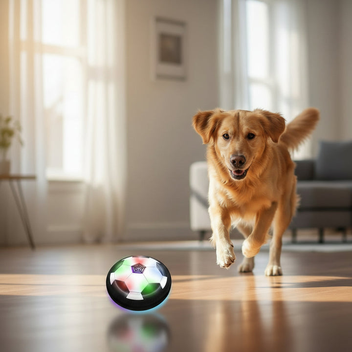 Active play dog ball for mental stimulation, suitable for indoor/outdoor fun. Durable interactive pet toy for all breeds.