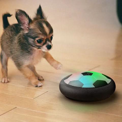 Interactive dog play ball promoting mental & physical fun. Durable pet toy for active enrichment, great for all breeds.