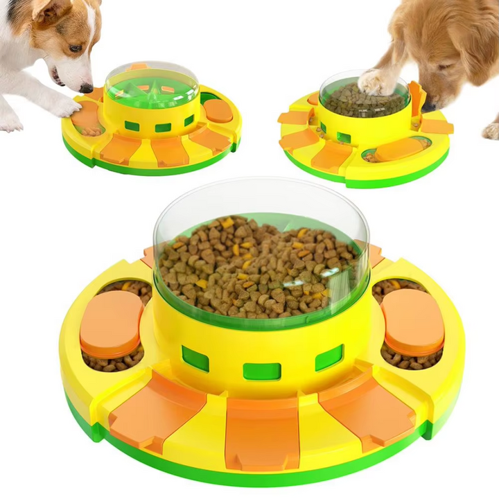 Top view of a pet puzzle feeder, ideal for slow feeding & mental enrichment for dogs