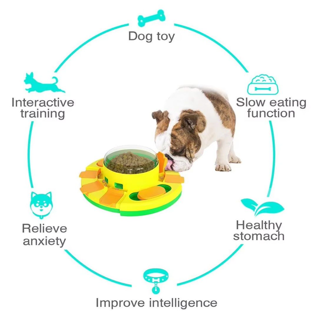 Pet care product: an interactive puzzle feeder to challenge and reward your dog