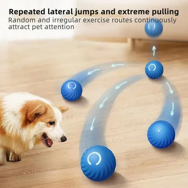 Interactive dog rolling ball, an automatic anti-anxiety pet toy for canine fun & enrichment.