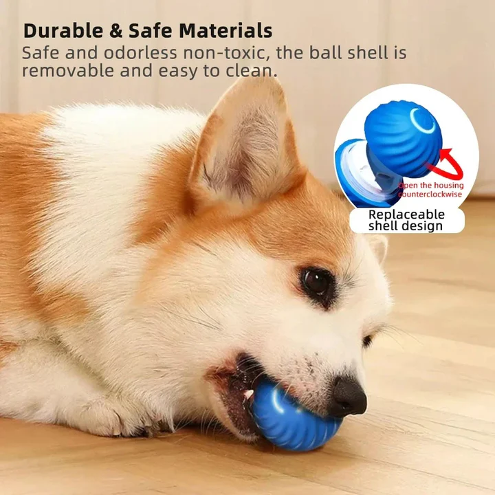 Automatic rolling dog toy ball, an interactive pet enrichment device for active canine entertainment.