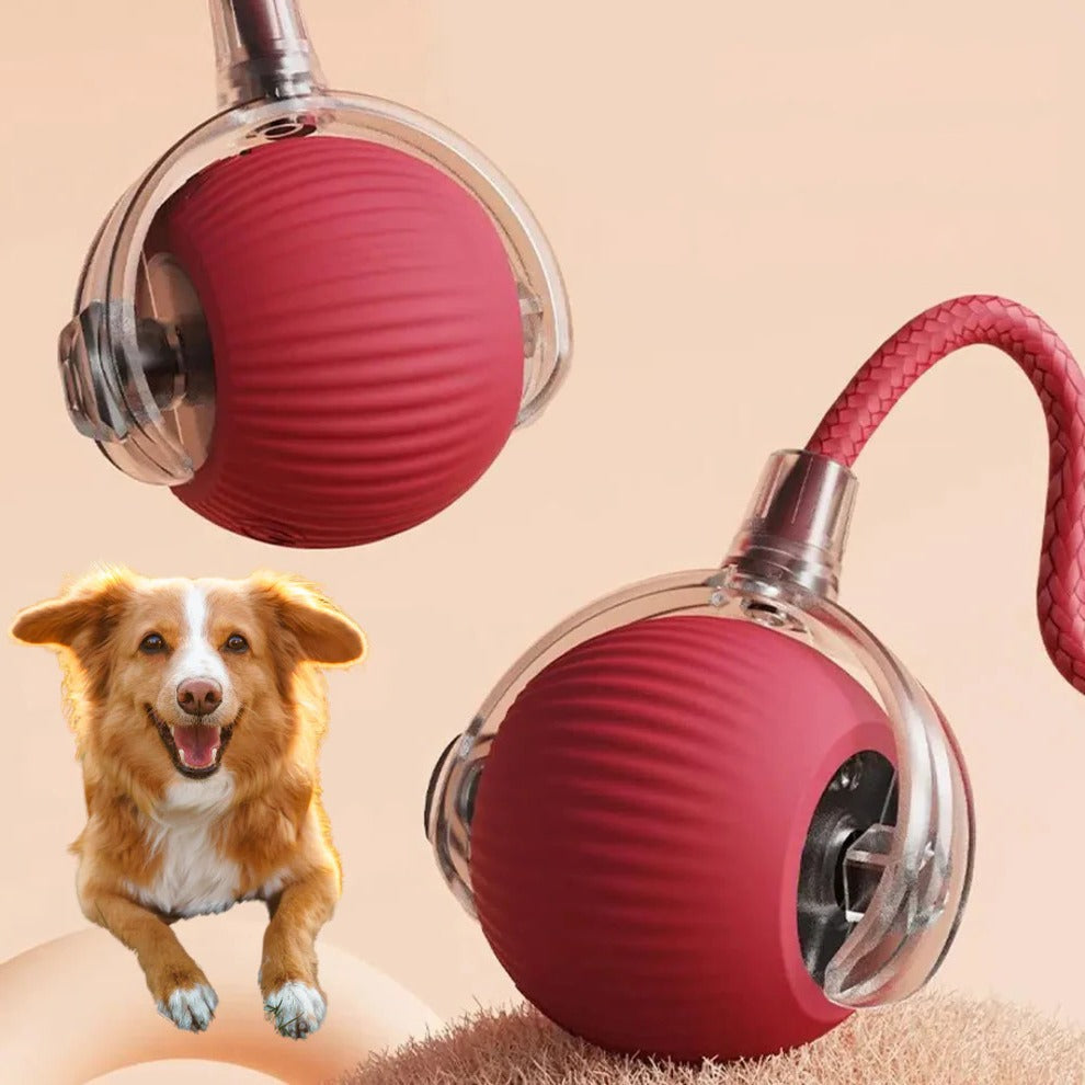Interactive dog rolling ball toy with a plush tail for active play & pet enrichment. Durable & non-toxic.