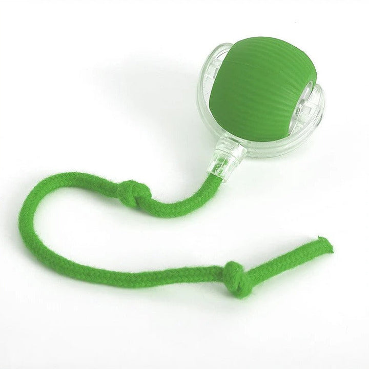 Dog interactive rolling ball toy with tail for independent play. Encourages chase & fetch, provides pet enrichment.