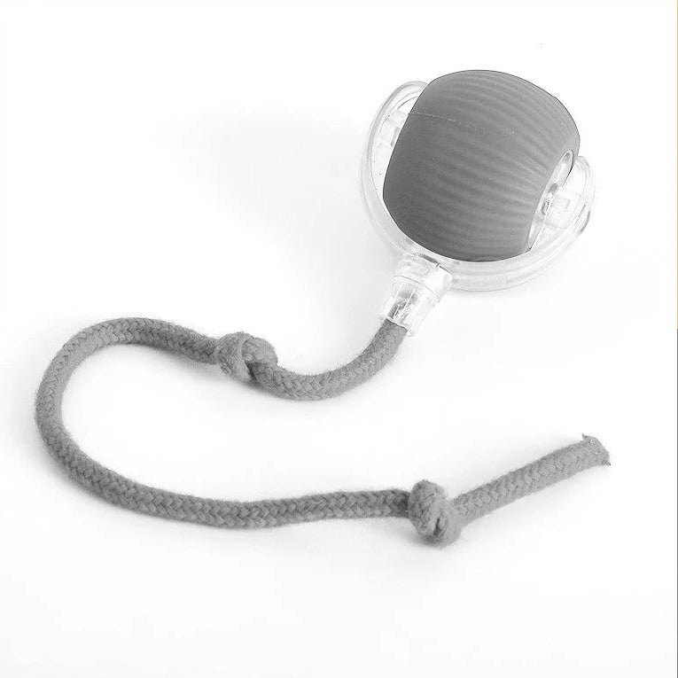 Durable, non-toxic rolling ball dog toy with tail. Safe chew toy for active play & pet enrichment. Great for puppies.