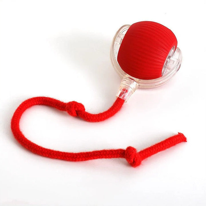 Fun interactive rolling ball dog toy with a tail. Perfect for active play, chase, fetch, and pet enrichment. Non-toxic.