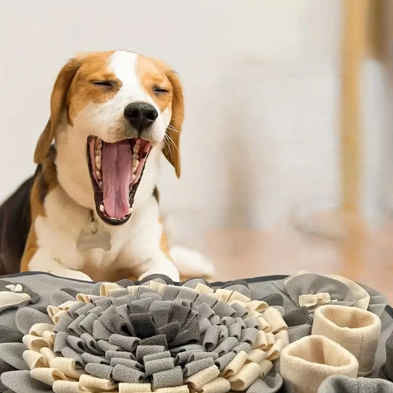Dog puzzle snuffle mat. Engaging slow feeder & foraging toy for pet mental stimulation. Washable & durable.